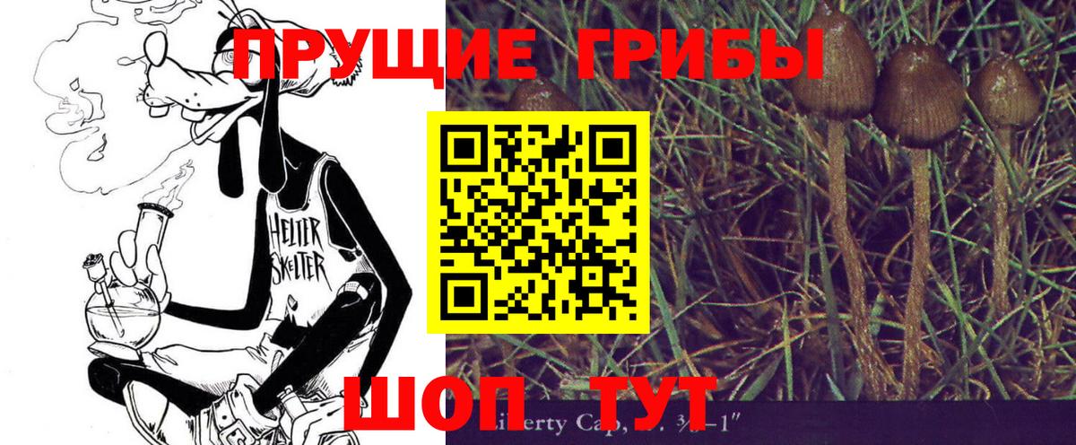Галлюциногенные грибы Psilocybe Находка